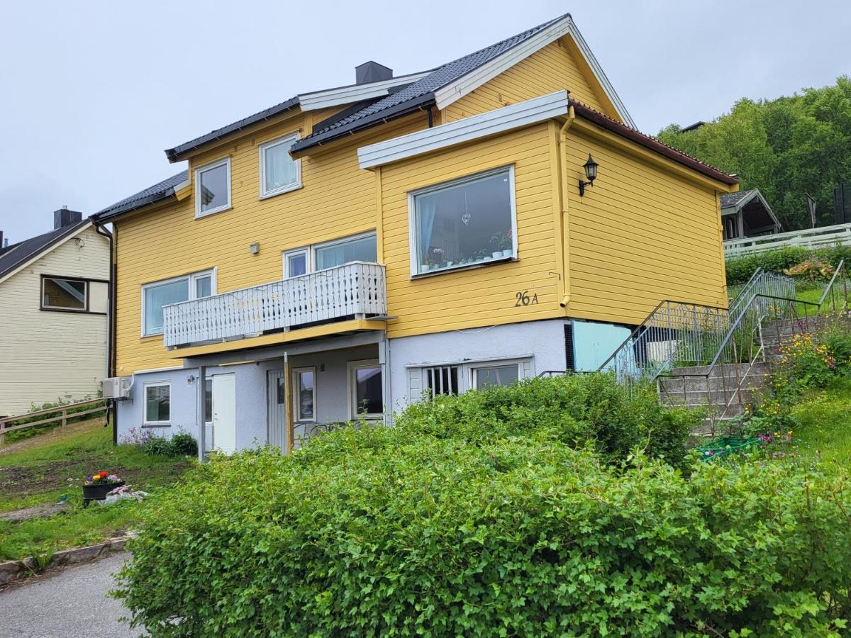 Saga Kirkenes